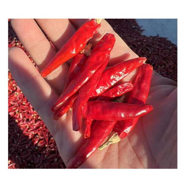 Wholesale Red Pepper Fried Chili Flakes High Quality Dried Red Pepper Dry Food Baking 5000-20000SHU - Image 7