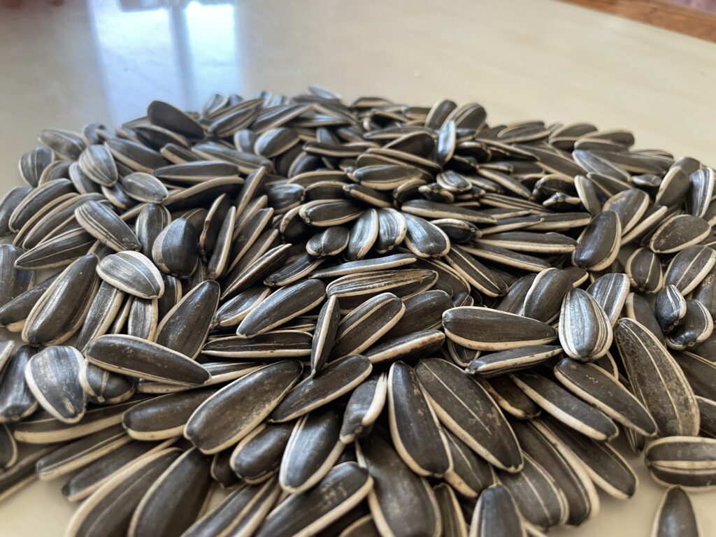Bulk sunflower seeds